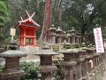 Nara : Kasugataisha